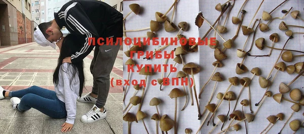 apvp Зерноград