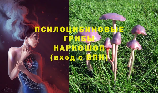 каннабис Зеленокумск